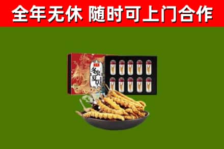 美兰回收冬虫夏草价格