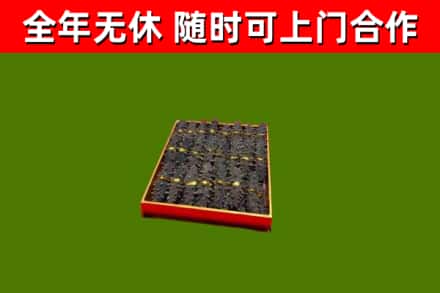 美兰回收海参